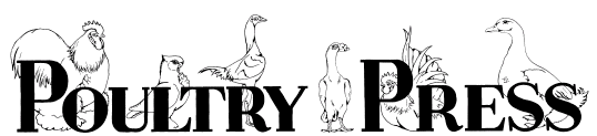 Poultry Press logo link
